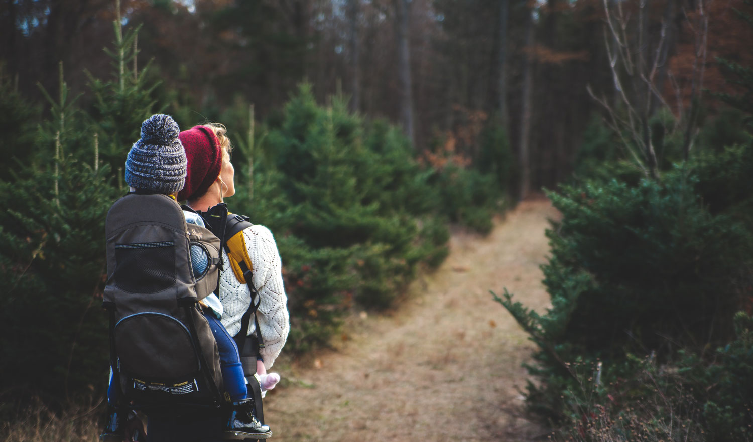 Read more about the article Tips for Transferring Your Wealth